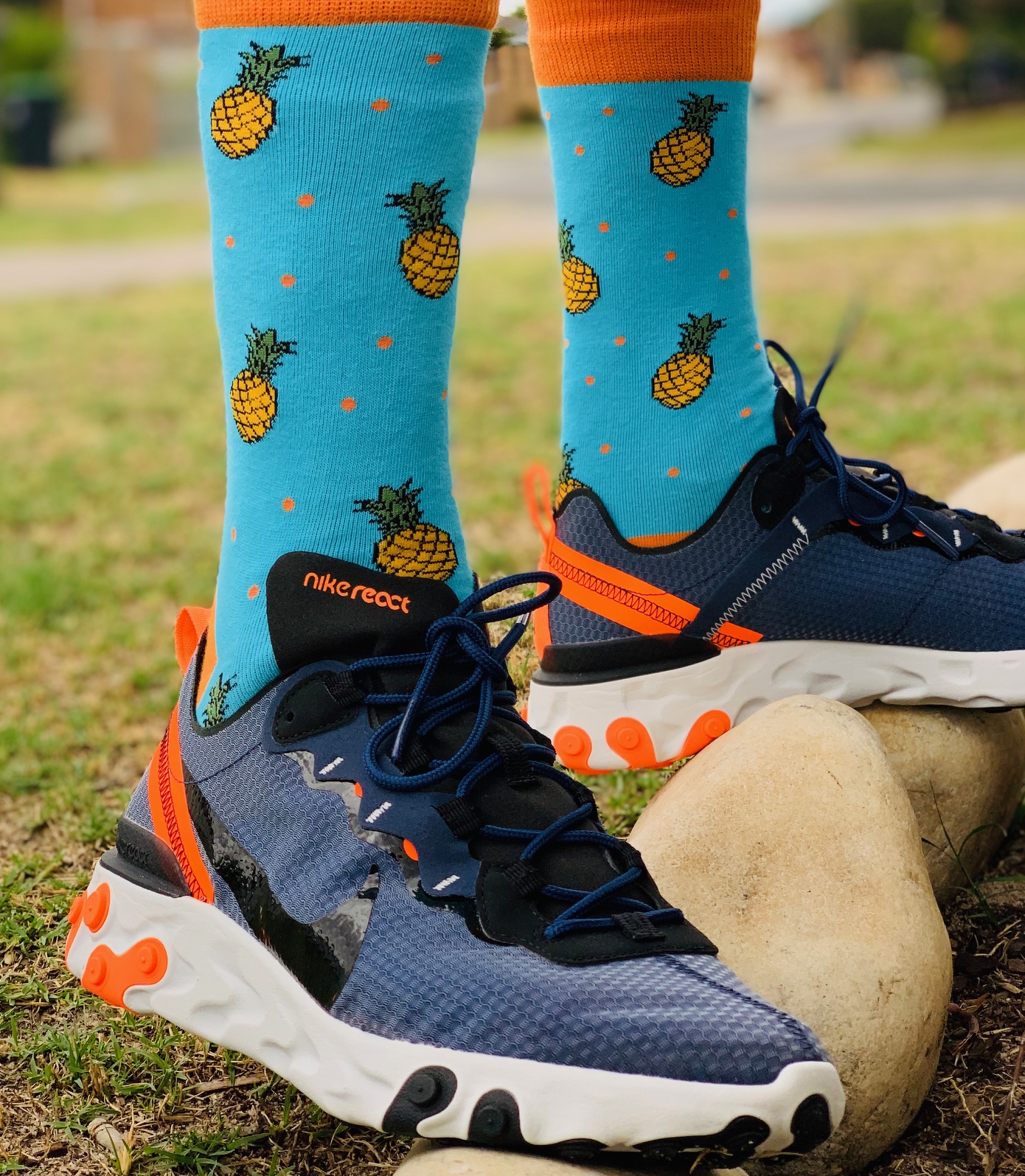 Pine Express - Image 2